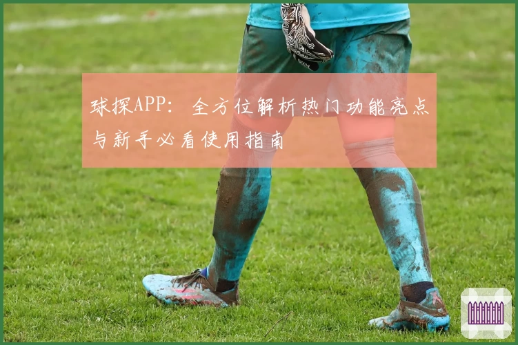 球探APP：全方位解析热门功能亮点与新手必看使用指南