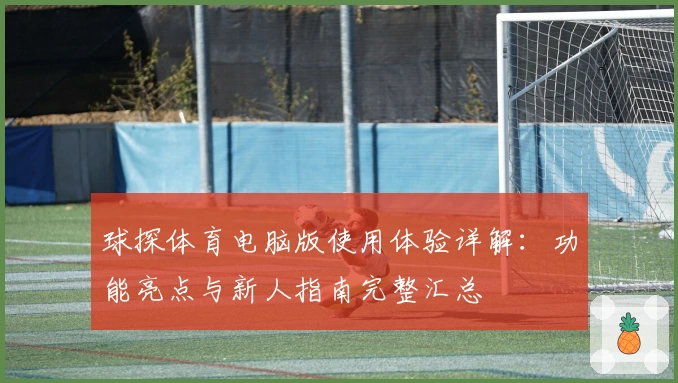 球探体育电脑版使用体验详解:功能亮点与新人指南完整汇总